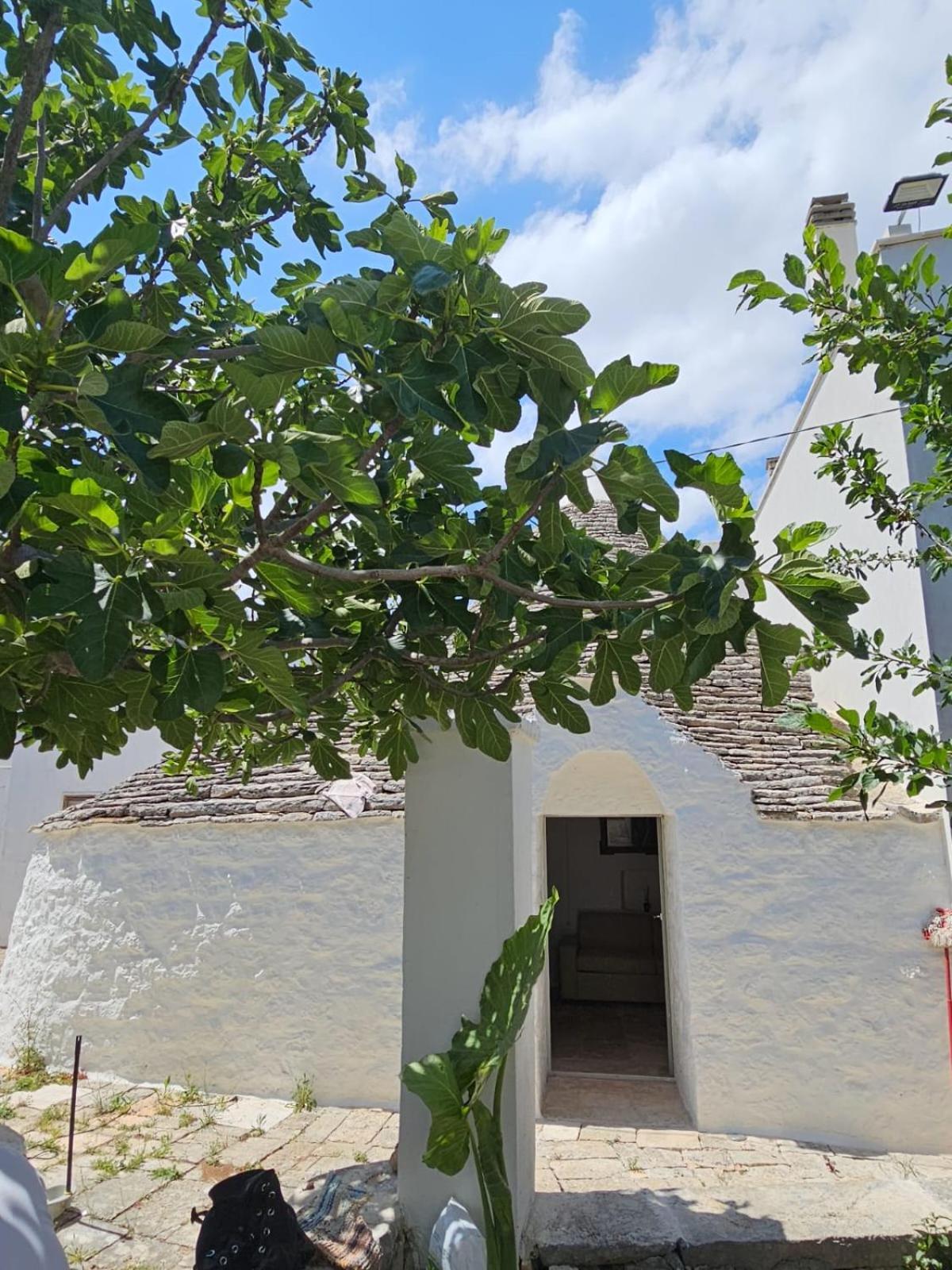 River Trulli Oasi Di Pace In Sito Unesco 알베르벨로 외부 사진