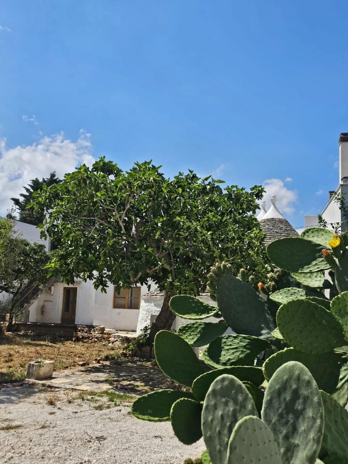 River Trulli Oasi Di Pace In Sito Unesco 알베르벨로 외부 사진