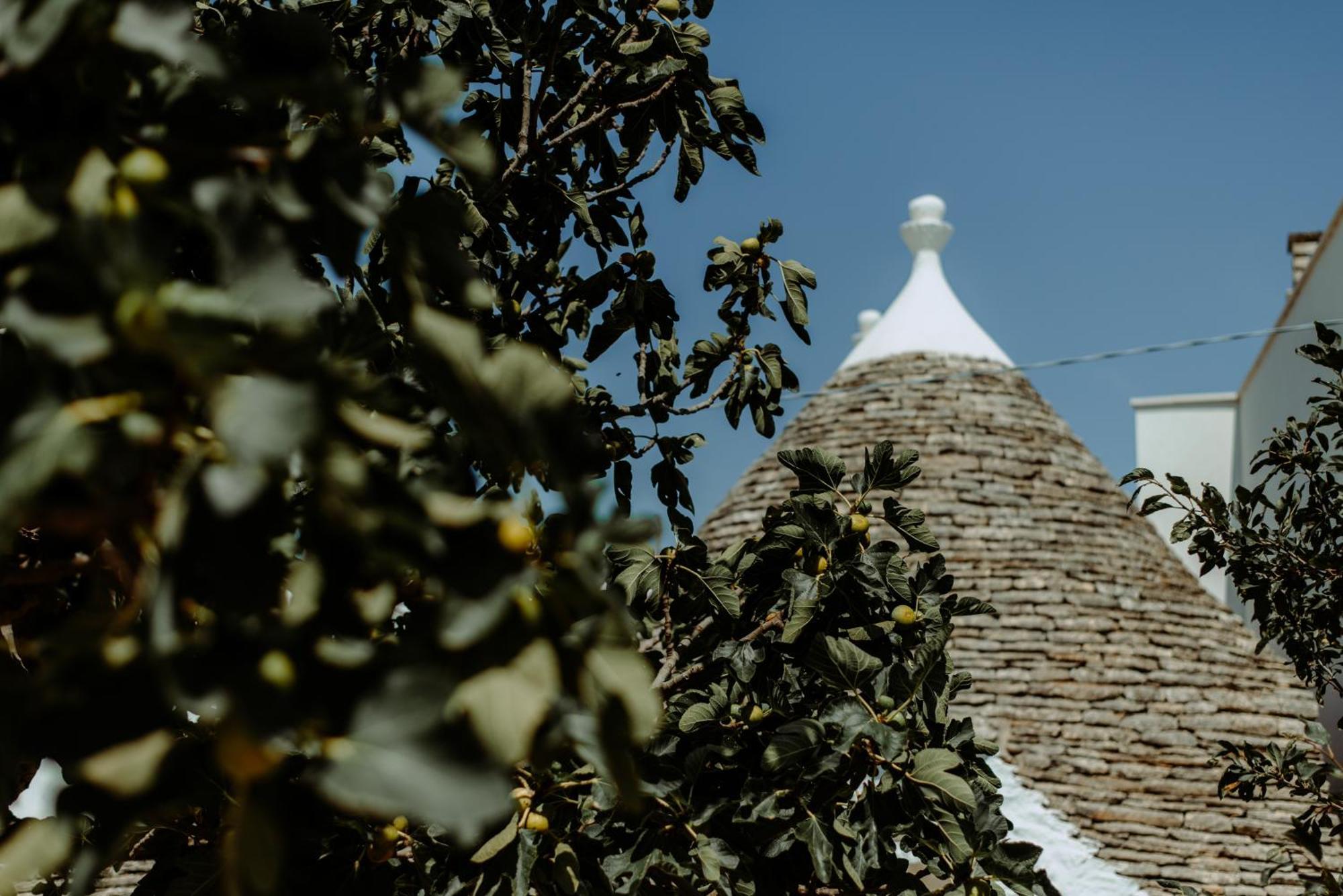 River Trulli Oasi Di Pace In Sito Unesco 알베르벨로 외부 사진
